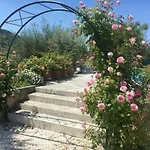Graziella