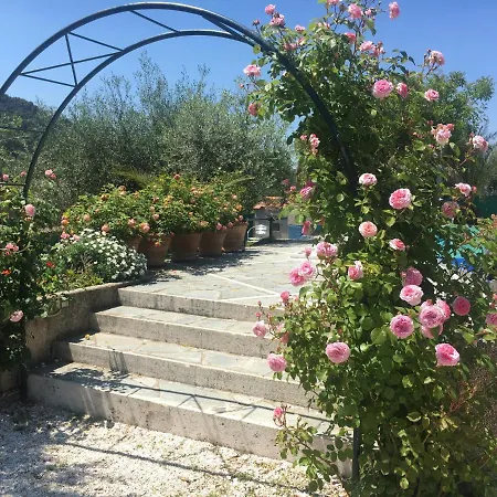 Graziella