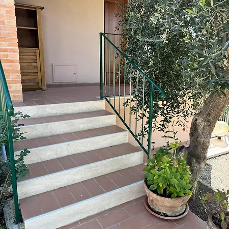 Graziella * 페루자